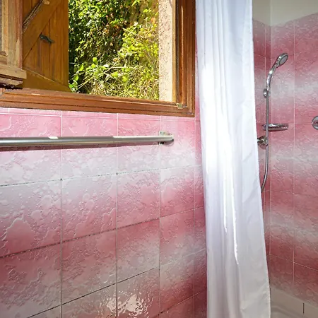 アパート Cozy In ピアナ